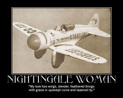 Nightingale Woman --- 'My love has wings, slender, feathered things with grace in upswept curve and tapered tip.'