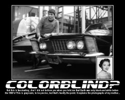 Colorblind? --- But this is fascinating, Jim! I did not believe you when you told me that Earth was only black and white before the 1960's! This is grayscale, to be precise, but that's hardly the point. It explains the photographs of my mother...